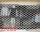 Cửa cuốn mắc võng thoáng gió